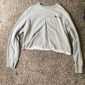 grey champion sweatshirt